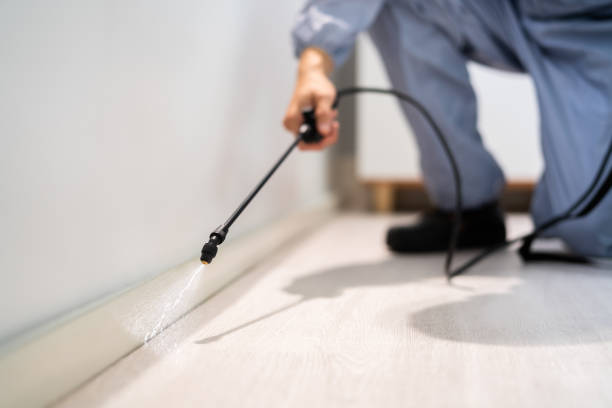 Licensed Pest Control service in Amberley, OH - Show Me Pest Control