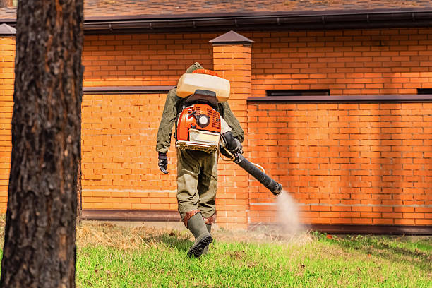 Bed Bug Clearance Verification and Documentation in Amberley